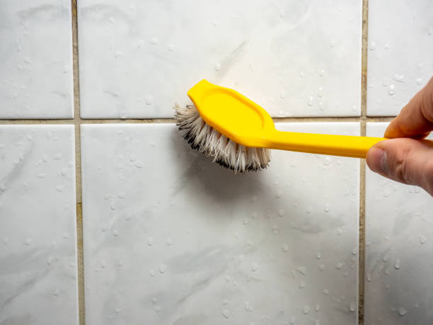 Best Black Mold Removal  in Sultana, CA