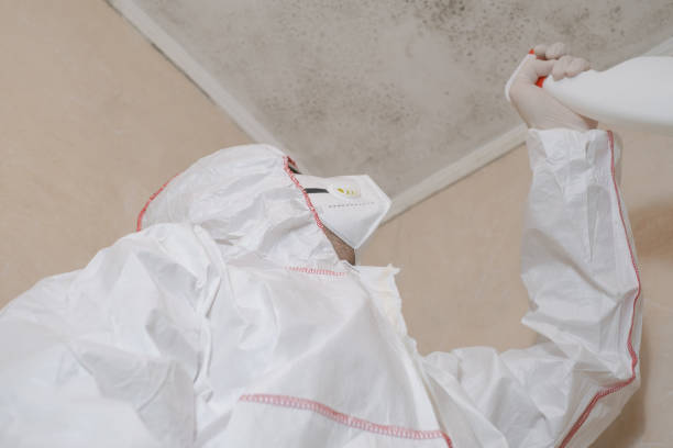 Best Attic Mold Removal  in Sultana, CA