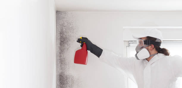 Certified Mold Removal in Sultana, CA