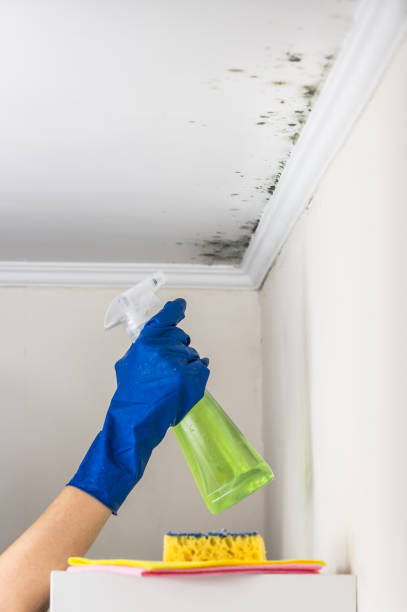 Best Professional Mold Removal  in Sultana, CA